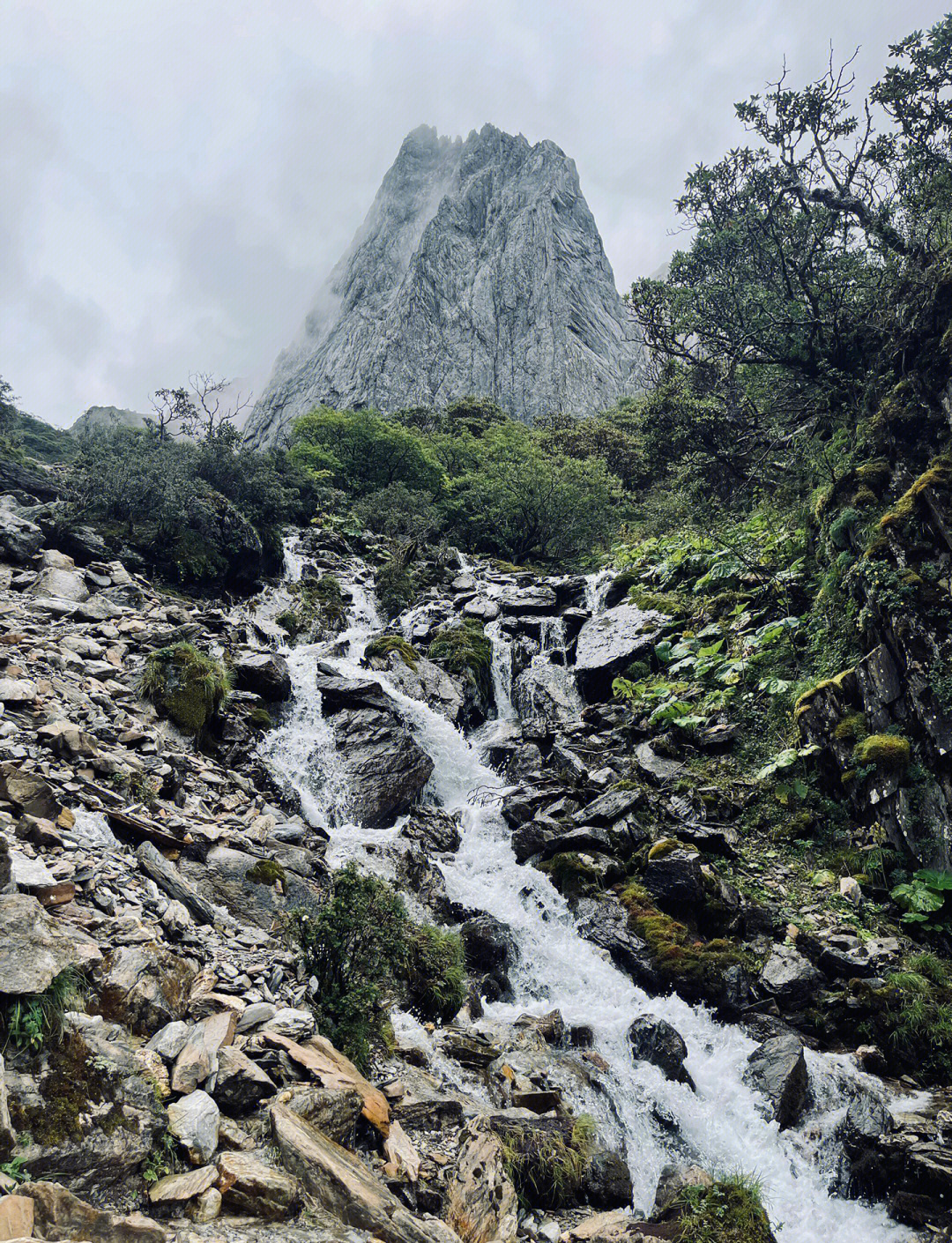 特色登山徒步，体验高原自然的奇妙魅力