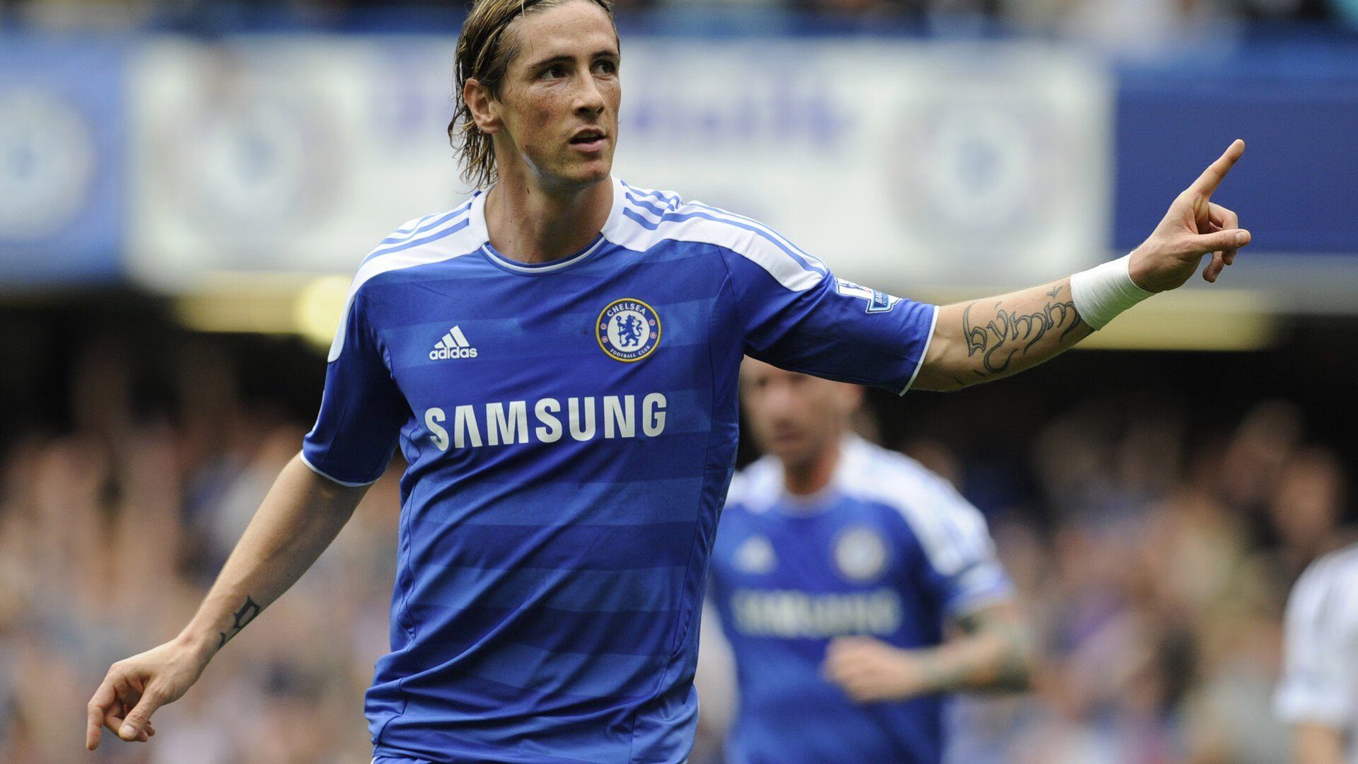 “雪域霸主：白色赛场的冠军归来”，雪域白图片