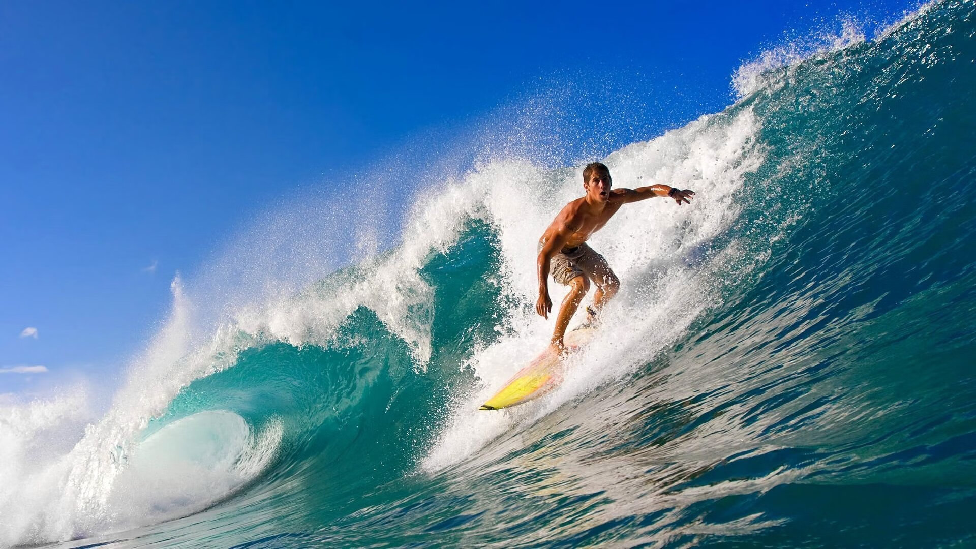 乐鱼在线-制胜法宝：车队密谋策略的背后故事