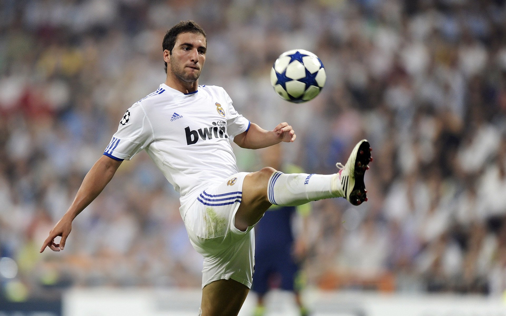 球场趣事：那些让人捧腹的趣味瞬间，球场搞笑视频